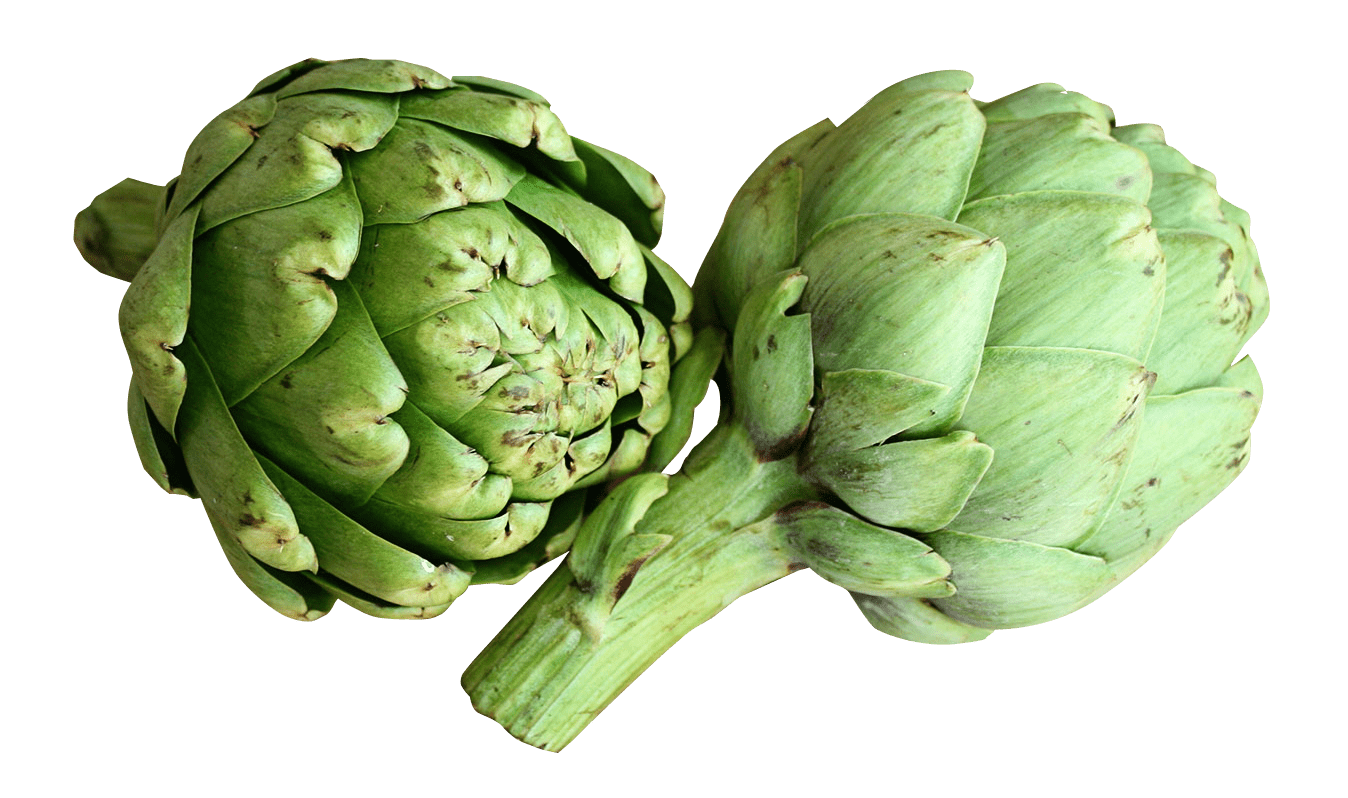 Artichoke Benefits